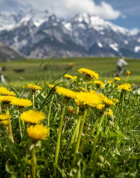 Frühling in der Region Kinder radeln durch Tulfes in der Region Hall-Wattens